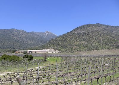 Cachapoal And Colchagua Valleys - 02 - Wine Wein Tours