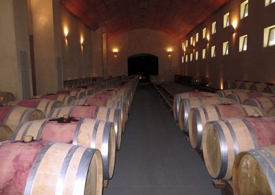 Cachapoal And Colchagua Valleys - 03 - Wine Wein Tours