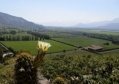 Discovering Aconcagua Valley 07 - Wine Wein Tours