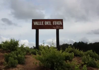 Itata Wine Valley - 0005 - Wine Wein Tours