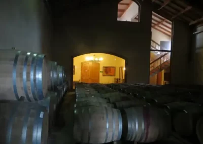 San Antonio Valley - 169 - Wine Wein Tours
