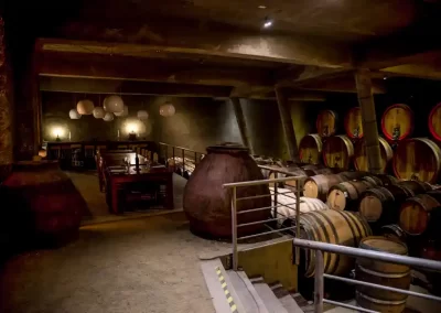 Historias Nómadas - 122 - Wine Wein Tours Chile